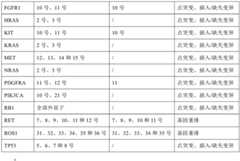 Figure FDA0002921974170000161