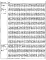 Figure JPOXMLDOC01-appb-T000002