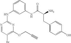 Figure US07504410-20090317-C00281