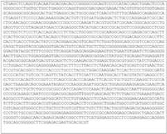 Figure imgf000020_0001