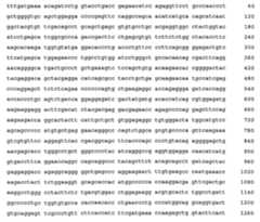 Figure 108128641-A0202-12-0285-661