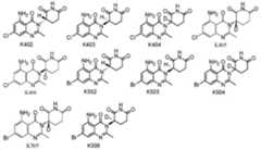 Figure 112018078022956-pct00053