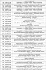 Figure PCTCN2022090268-appb-000005