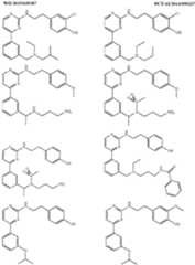 Figure imgf000100_0001