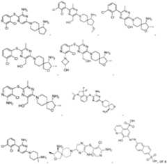 Figure imgf000070_0001