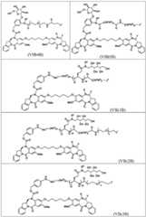 Figure BDA0003285627320001011