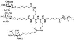 Figure imgf000218_0002