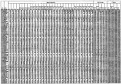 Figure imgf000044_0001