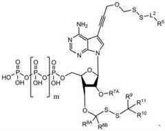 Figure BDA0003670511740001351