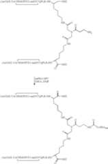 Figure US07906485-20110315-C00085