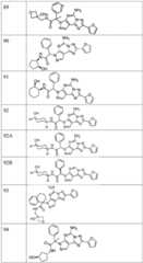 Figure FDA0003465902320000211