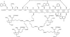 Figure G2007800458747D01501