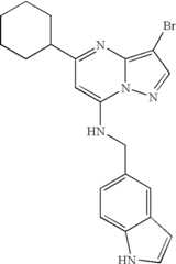 Figure US07119200-20061010-C01291