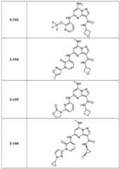 Figure imgf000079_0001