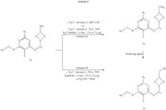 Figure US07470699-20081230-C00481