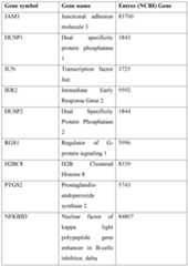 Figure imgf000008_0001