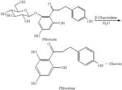 Figure US06627611-20030930-C00007