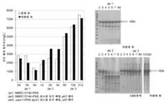 Figure P1020177004149