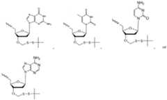 Figure imgf000342_0001