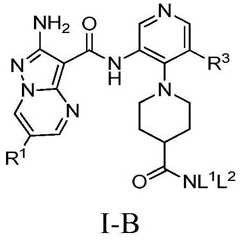 Figure BDA0001412716210005101