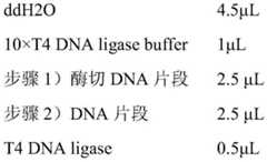 Figure BDA0001211358300000052