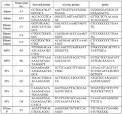 Figure imgf000017_0001
