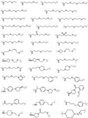 Figure BDA0003027048450001951