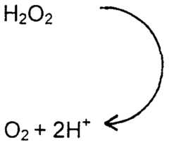 Figure imgf000022_0001