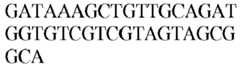 Figure imgb0565