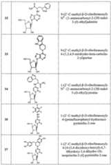 Figure imgf000026_0001