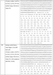 Figure imgf000092_0001