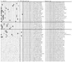 Figure imgf000640_0002