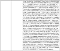 Figure PCTCN2021104810-APPB-000029