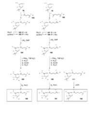 Figure imgf000165_0001