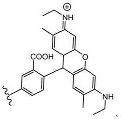 Figure BDA0003670511740001145