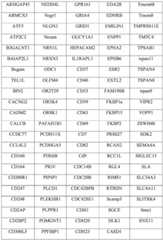 Figure BDA0003619495830000781