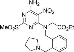 Figure BDA0000075082050001573