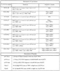 Figure imgf000045_0001