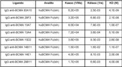 Figure imgf000030_0001