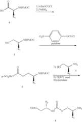 Figure US07771935-20100810-C00002