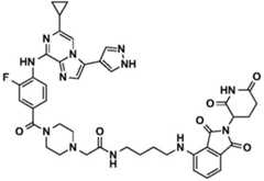 Figure BDA0002964098100001292