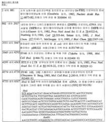 Figure 112005012020318-pct00016