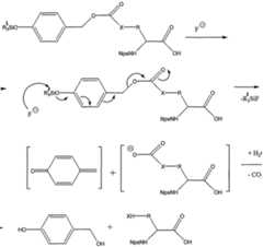 Figure imgf000013_0002