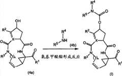 Figure S2006800355619D00271