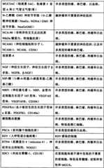 Figure BSA0000176163890000211