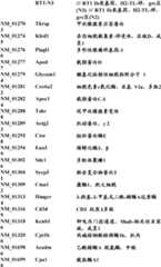 Figure BDA0000057170160000561