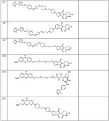 Figure BDA0003027048450003811