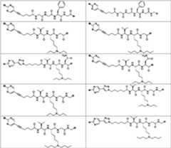 Figure PCTCN2022073822-appb-100078