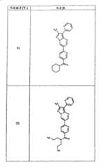 Figure G05845025220070629D000791