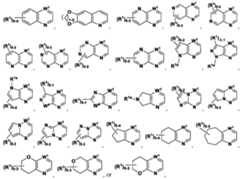 Figure imgf000096_0001